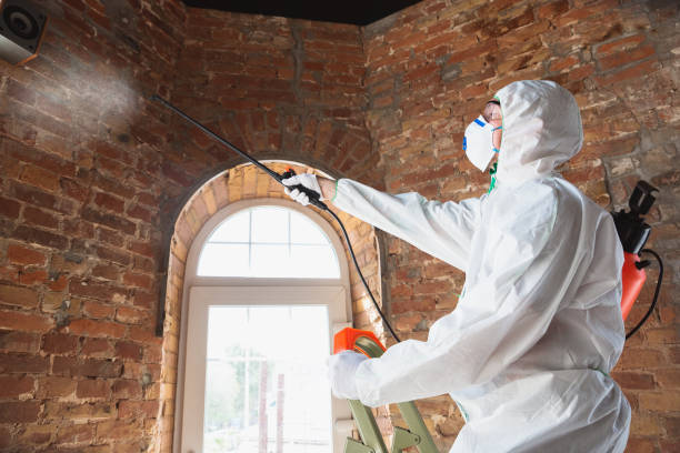 Why You Should Choose Our Mold Remediation Services in Rheems, PA